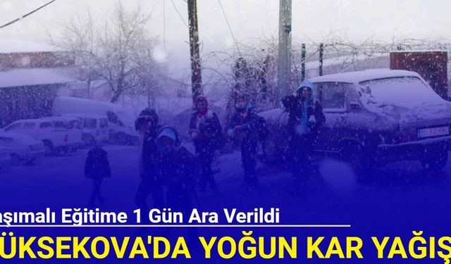 Yüksekova'da yoğun kar yağışı: Taşımalı eğitime ara verildi