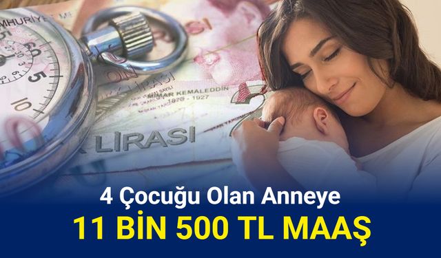 4 çocuğu olana 11.500 TL maaş verilecek: Başvuru başladı