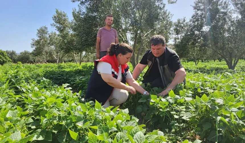 Genç ve Kadın Çiftçilere 3 Milyon TL Devlet Destekli Kredi! Başvurular Ziraat Bankası’na