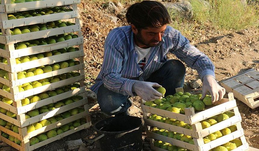 90 bin TL maaşla yüzlerce işçi alımı yapılıyor