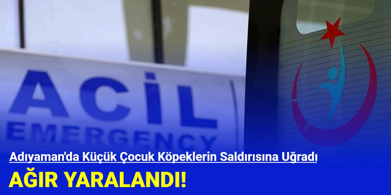 Adıyaman'da Küçük Çocuk Köpeklerin Saldırısına Uğradı