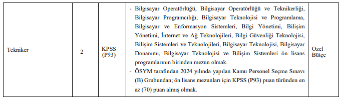 Ekran Görüntüsü 2024 12 31 115706